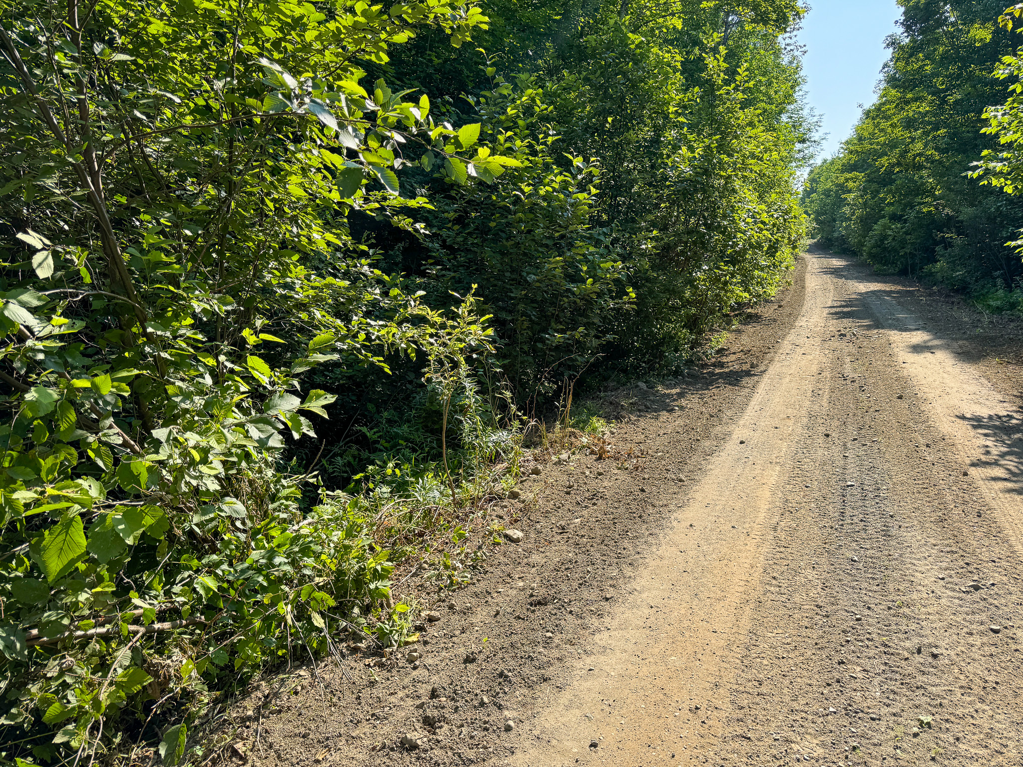 80± Acres of Off-Grid Mountain Land in Mount Chase, Maine