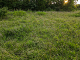 Land For Sale Barton County, MO 160± acres