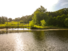 142+\- acres  For Sale El Dorado Springs MO