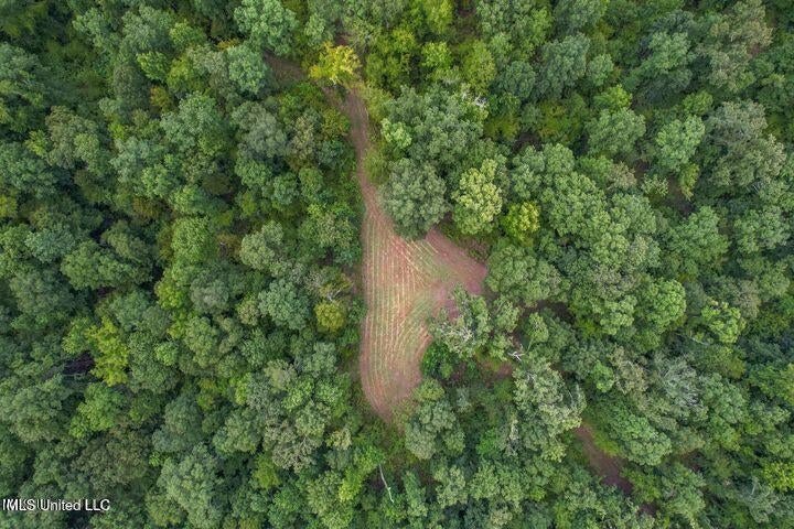 95 Acres of Prime Hunting Property in Hinds County