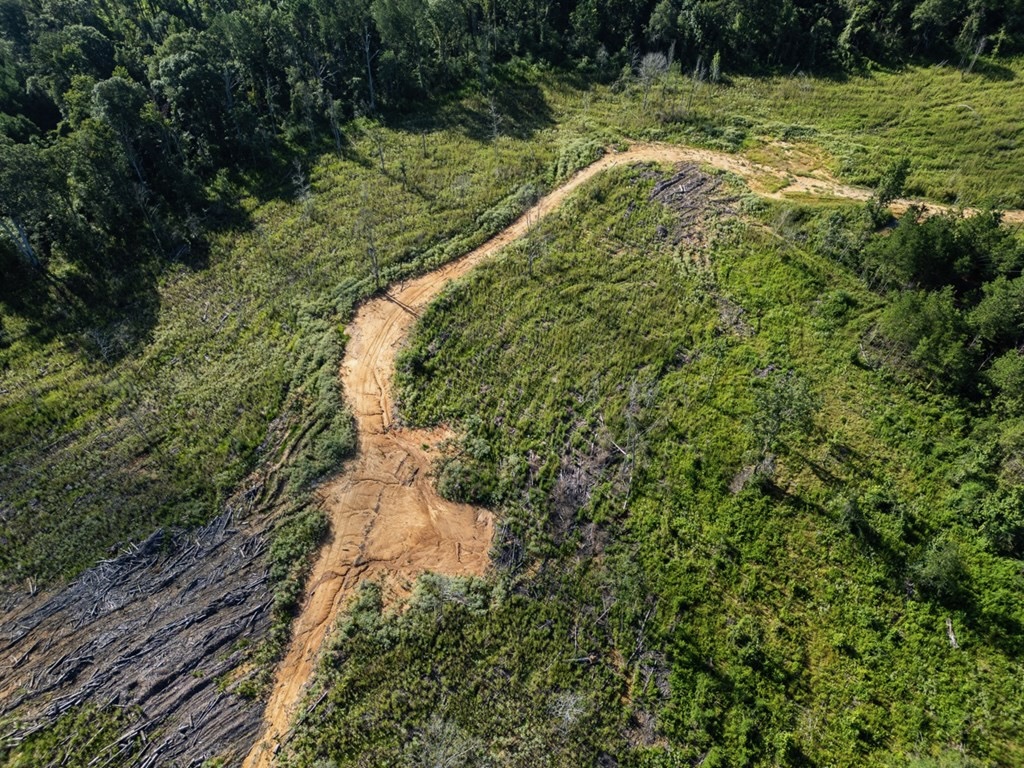 Gloster MS Hunting & Investment Land for Sale – 84 Acres
