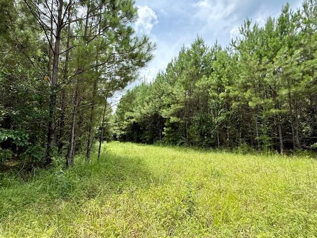 67 Acres For Sale Lawrence County MS