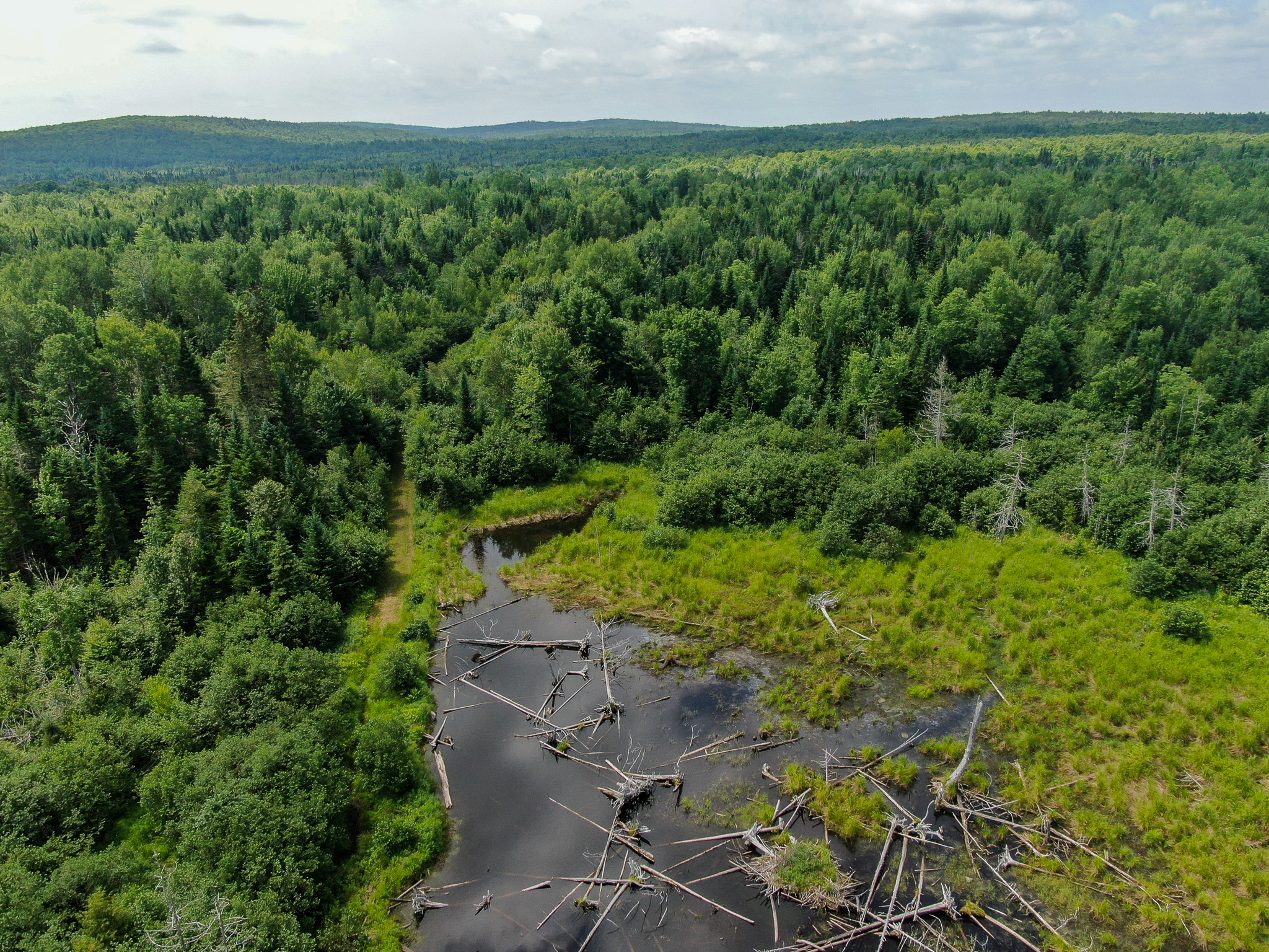 Maine Hunting and Recreational Timberland for Sale | 152± Acres in Carroll Plantation