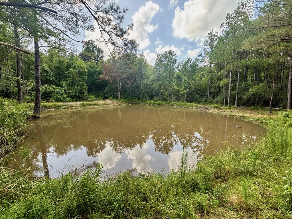 Land for Sale in St. Helena Parish, Louisiana