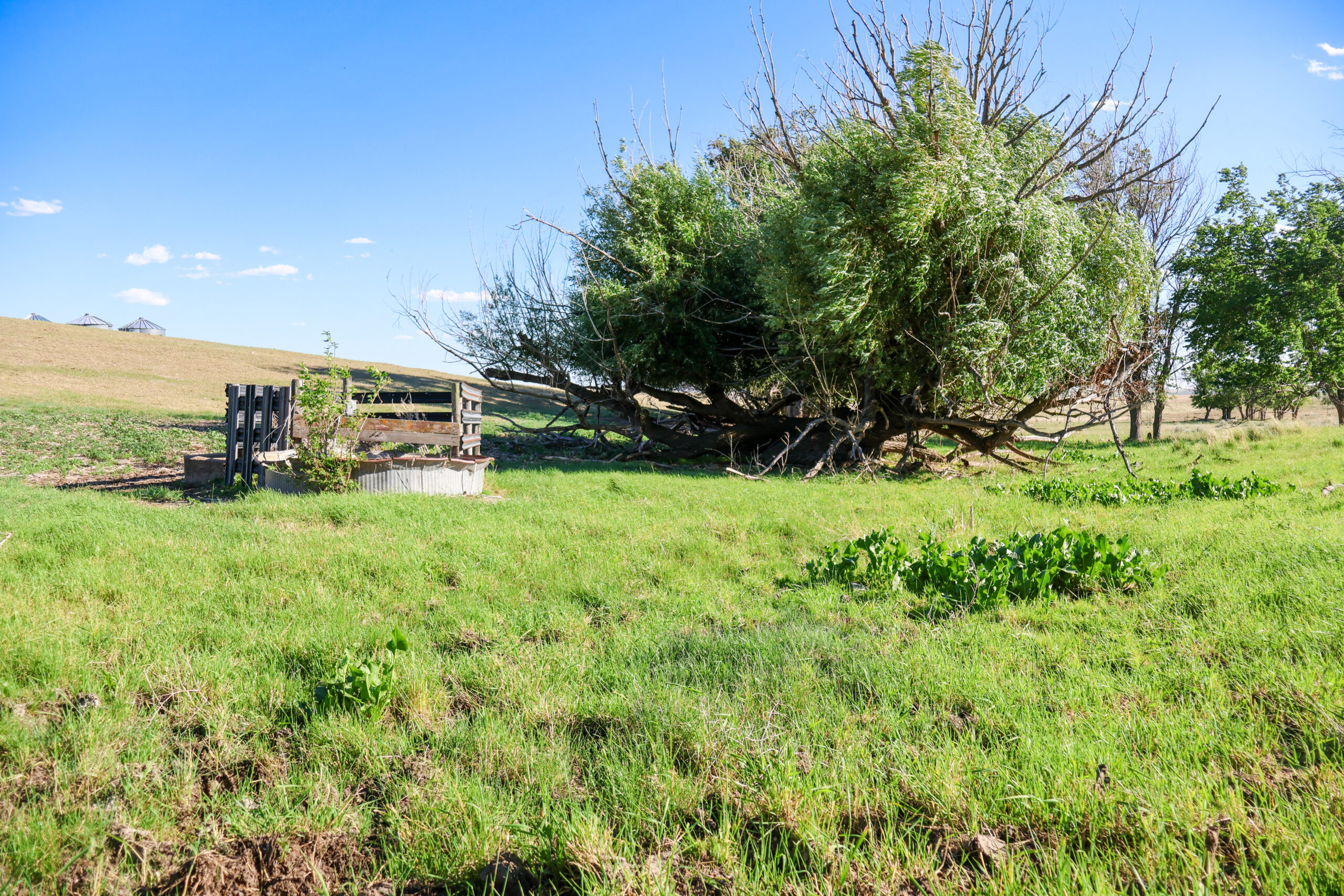 Golden Triangle Farm & Ranch in Hill County, Montana