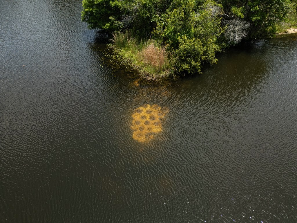 Clear Lake Land in East Feliciana Parish, Louisiana