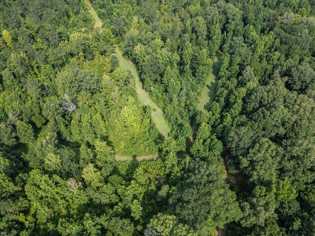 Hunting Land in Claiborne County, MS – The Reagan Tract