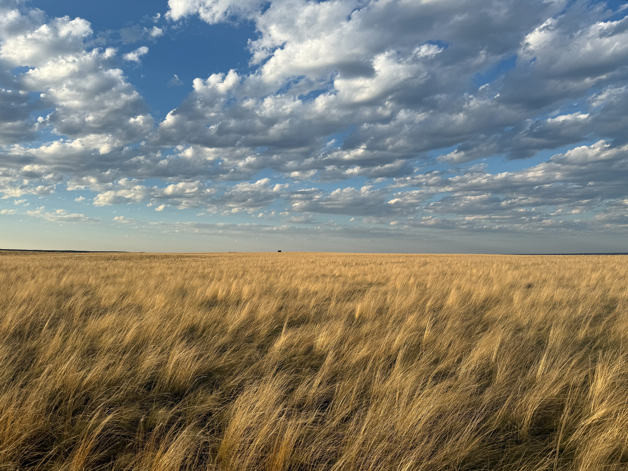 Norman Mavencamp Ranch
