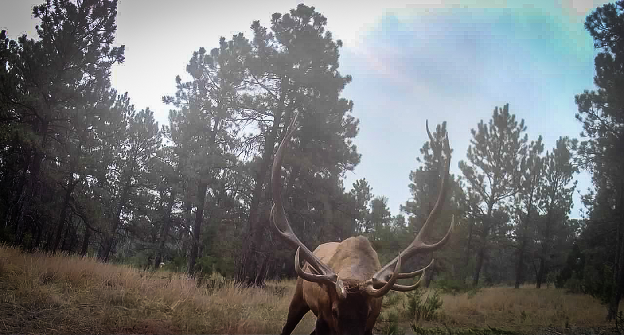 Windancer Ranch | | Custer, Montana