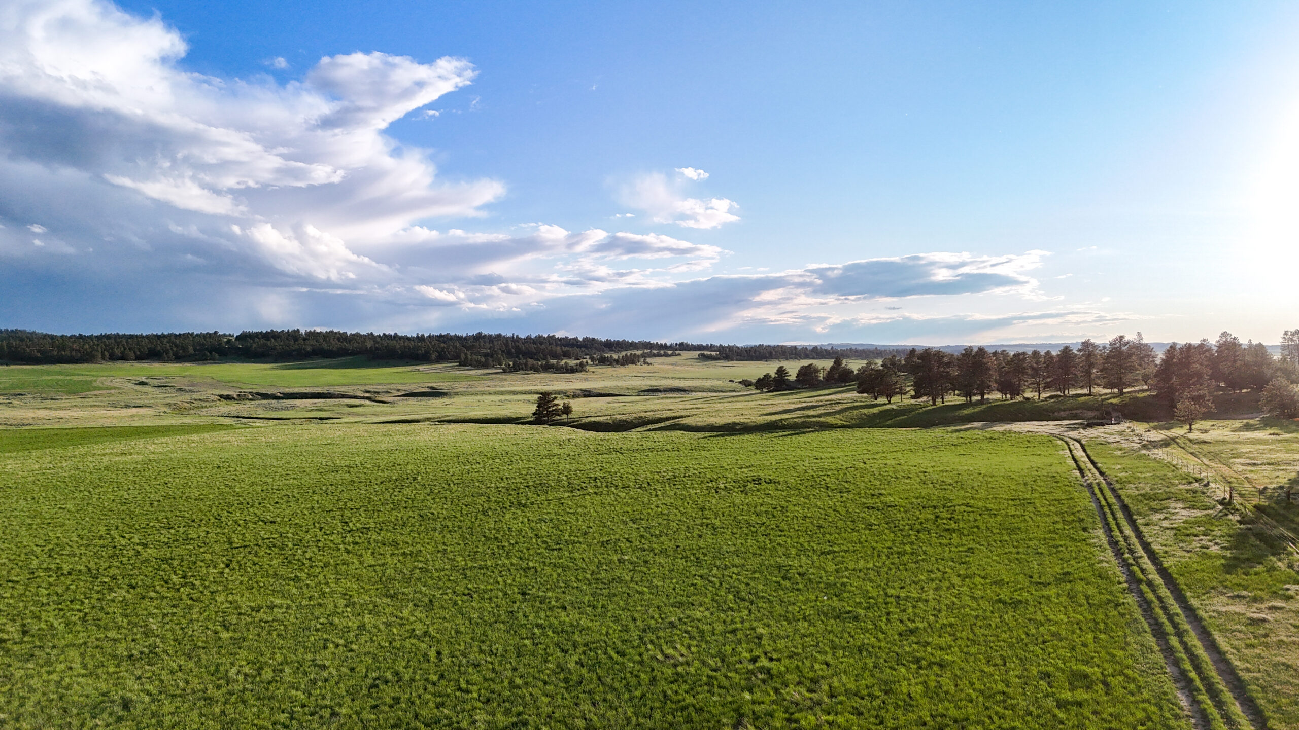 Buffalo Creek Ranch