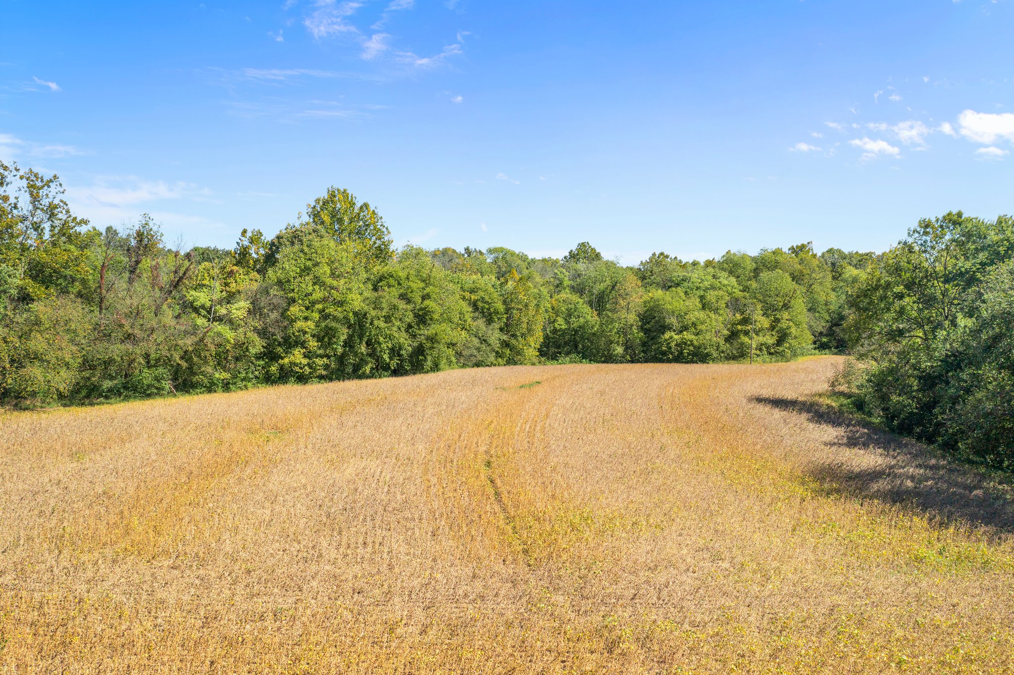 Whitetail and Waterfowl Hunting Property w/ Crop Income in Bowling Green, Kentucky