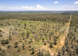 Cattle & Hunting Ranch for Sale in Weed, NM