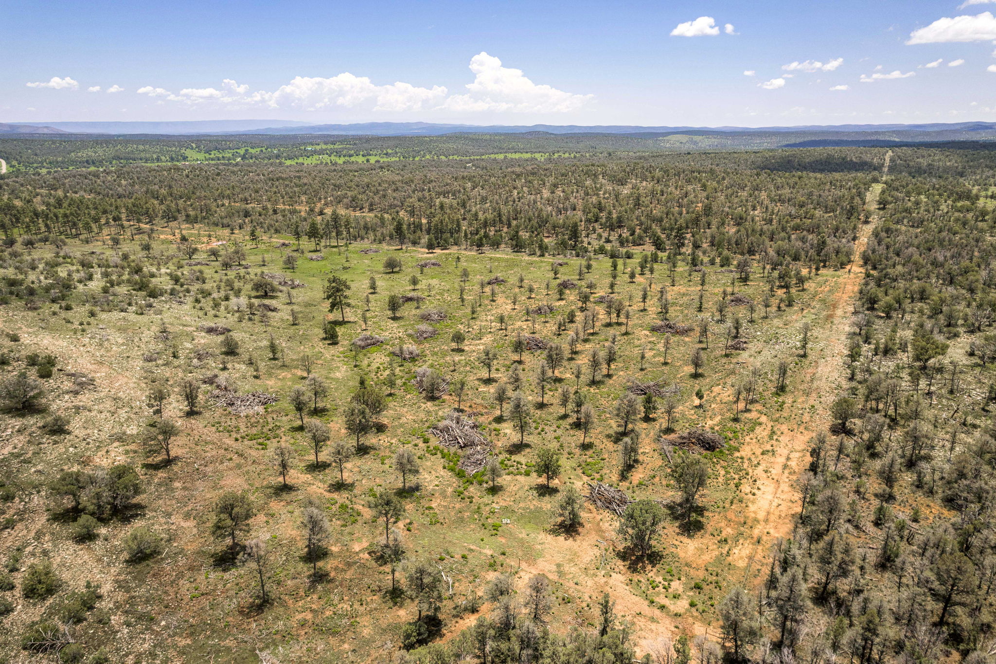 Cattle & Hunting Ranch for Sale in Weed, NM