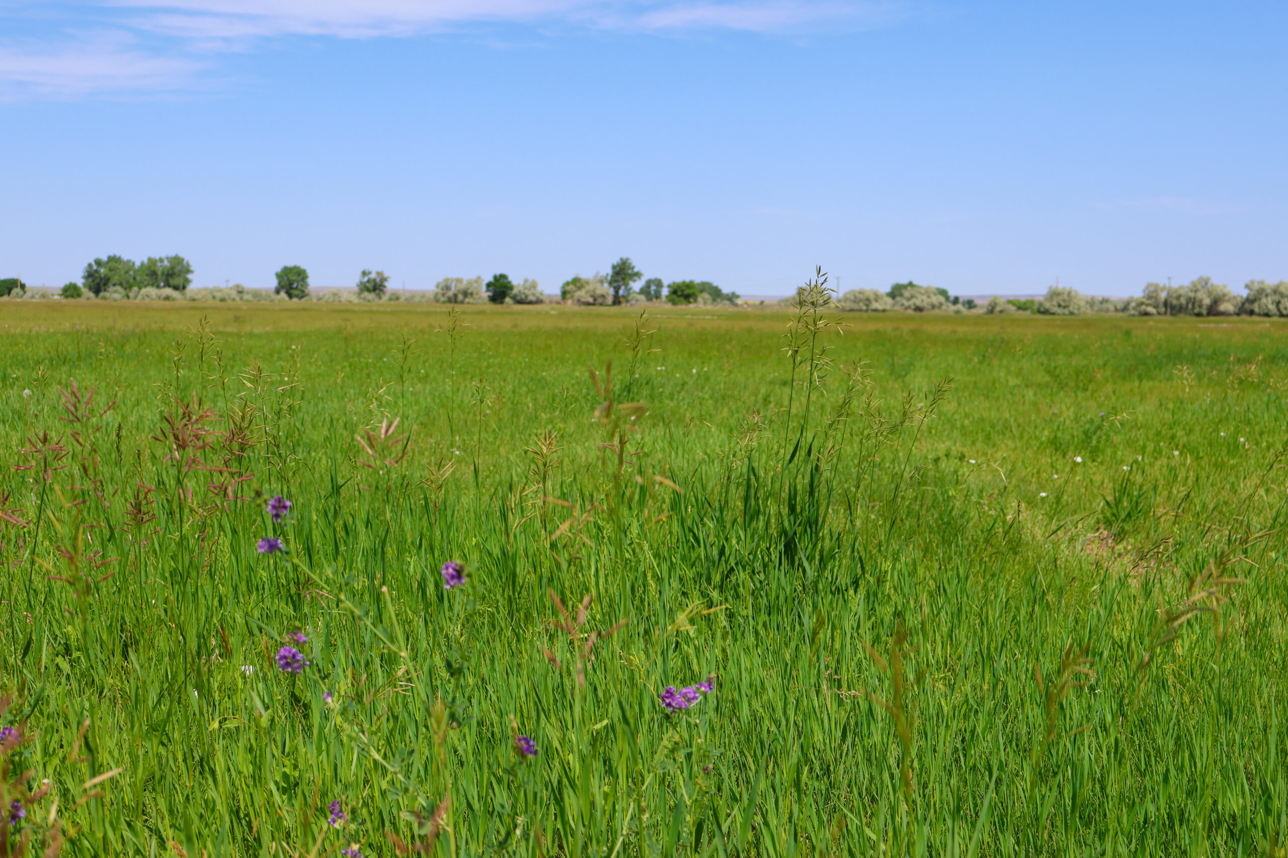 East Malta Irrigated Farm & Ranch – The Hould Property