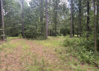 East Texas Land for Sale – ±8.38 Acres for Homesite or Hunting