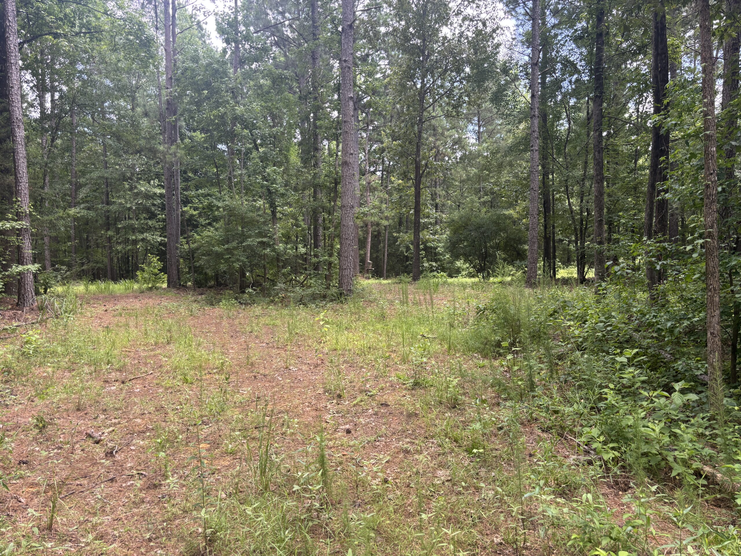 East Texas Land for Sale – ±8.38 Acres for Homesite or Hunting