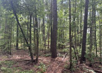 East Texas Land for Sale – ±8.38 Acres for Homesite or Hunting