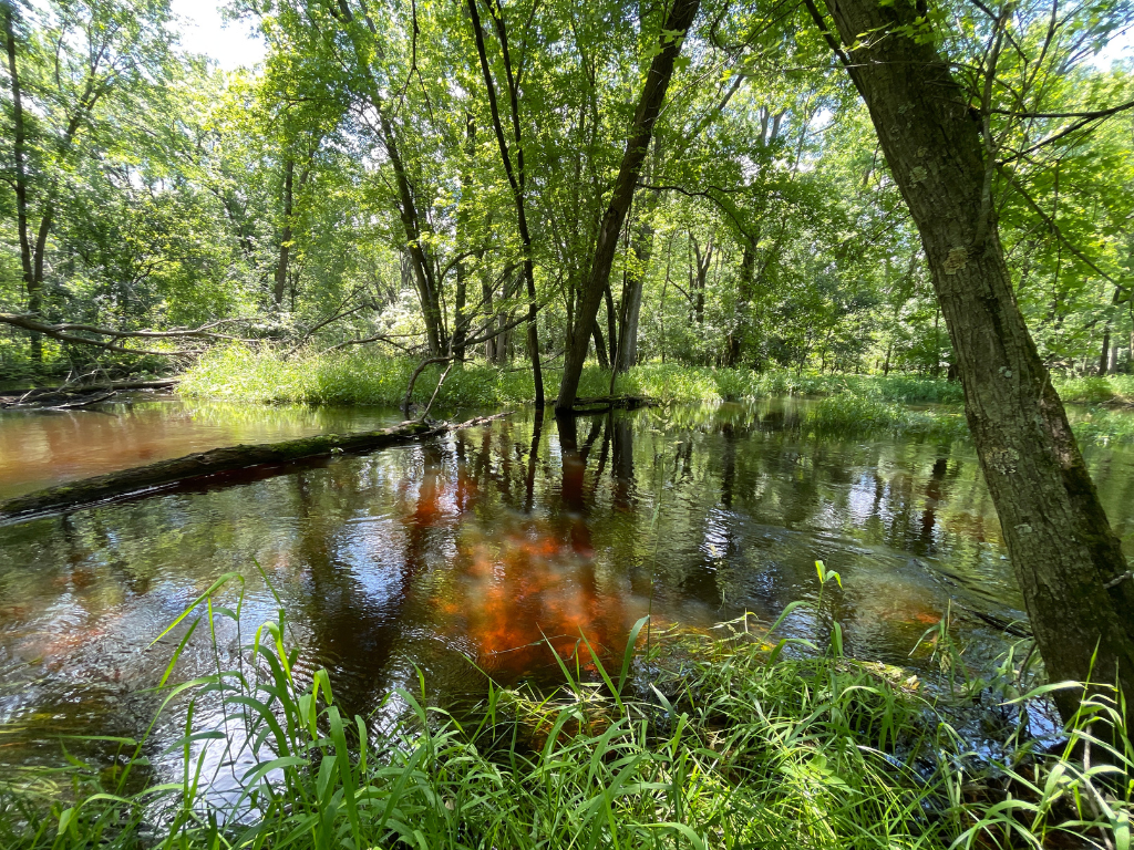 71.8-Acre Heavily Wooded Hunting Parcel with 4,500 Ft of St. Francis River Frontage