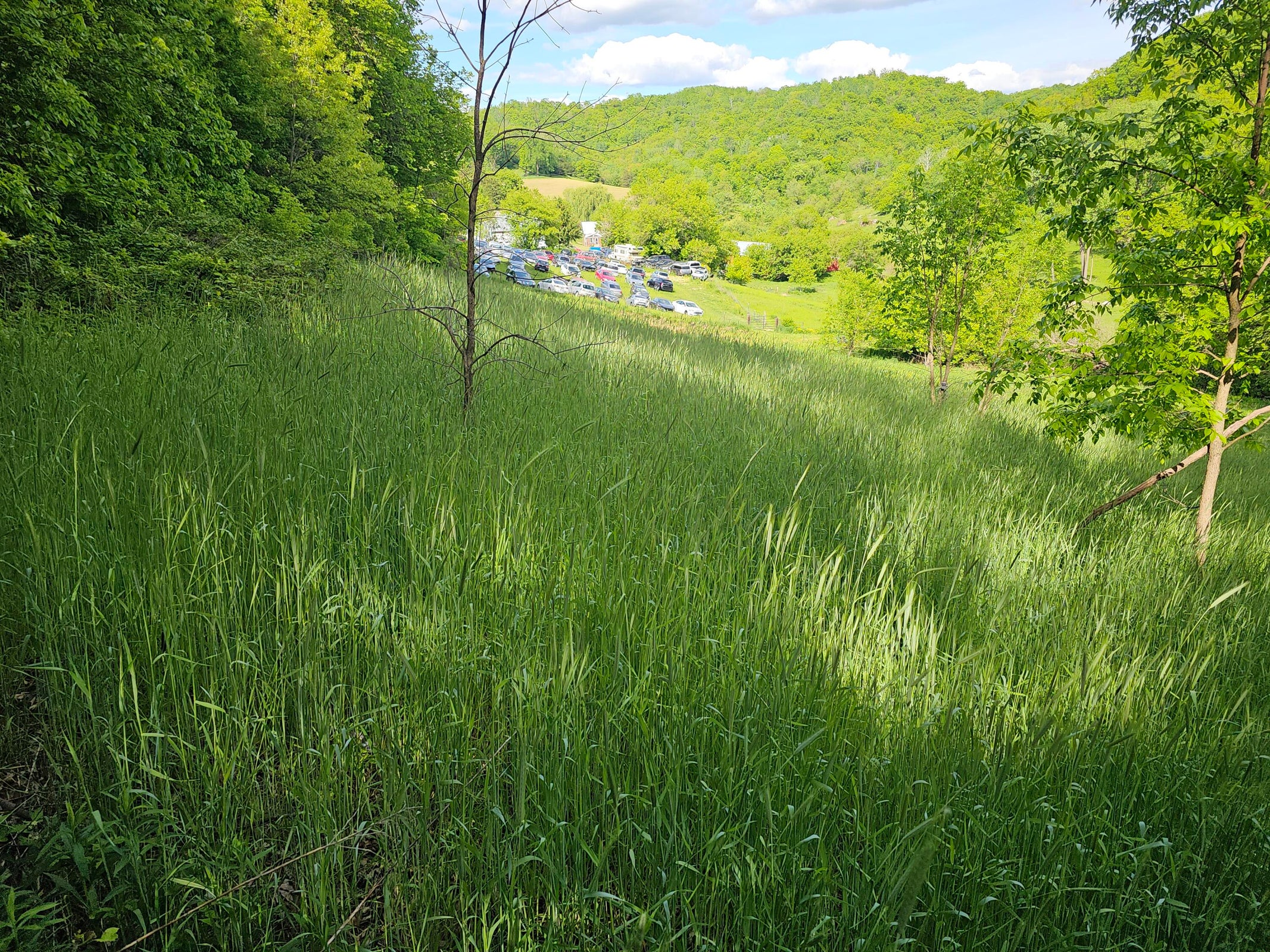 Twenty-One-Acre Hidden Gem in Vernon County WI