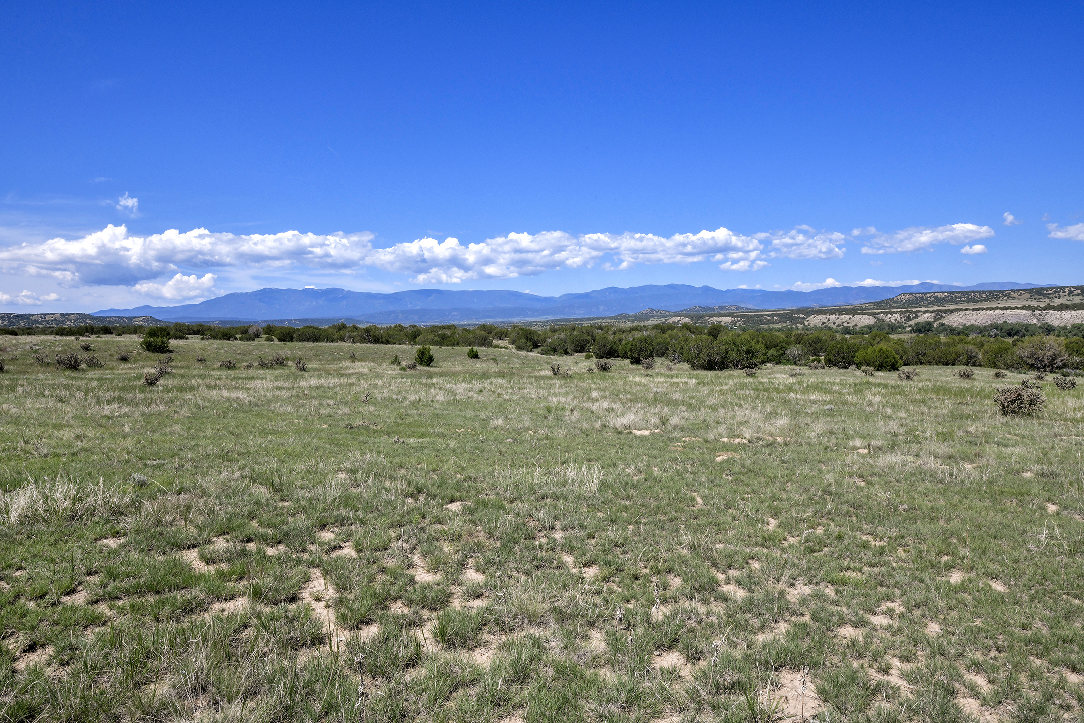 Burnt Mill Ranch – 643± Acres of Prime Colorado Ranchland