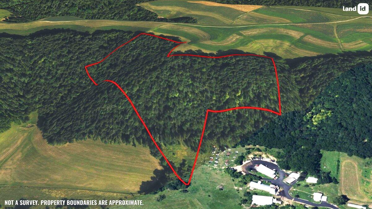 Twenty-One-Acre Hidden Gem in Vernon County WI