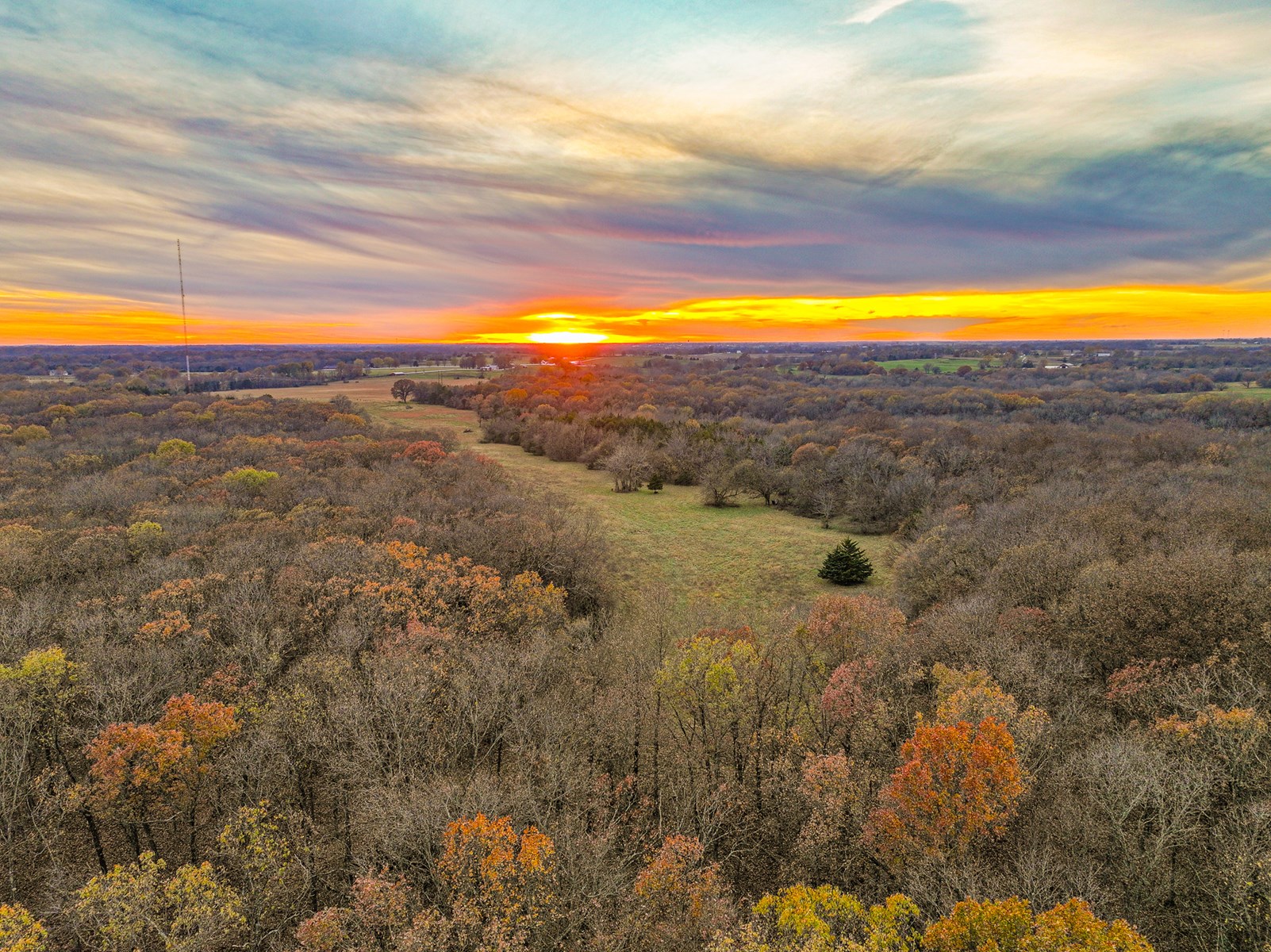 293 +/- acre hunting property for sale Lowry City MO