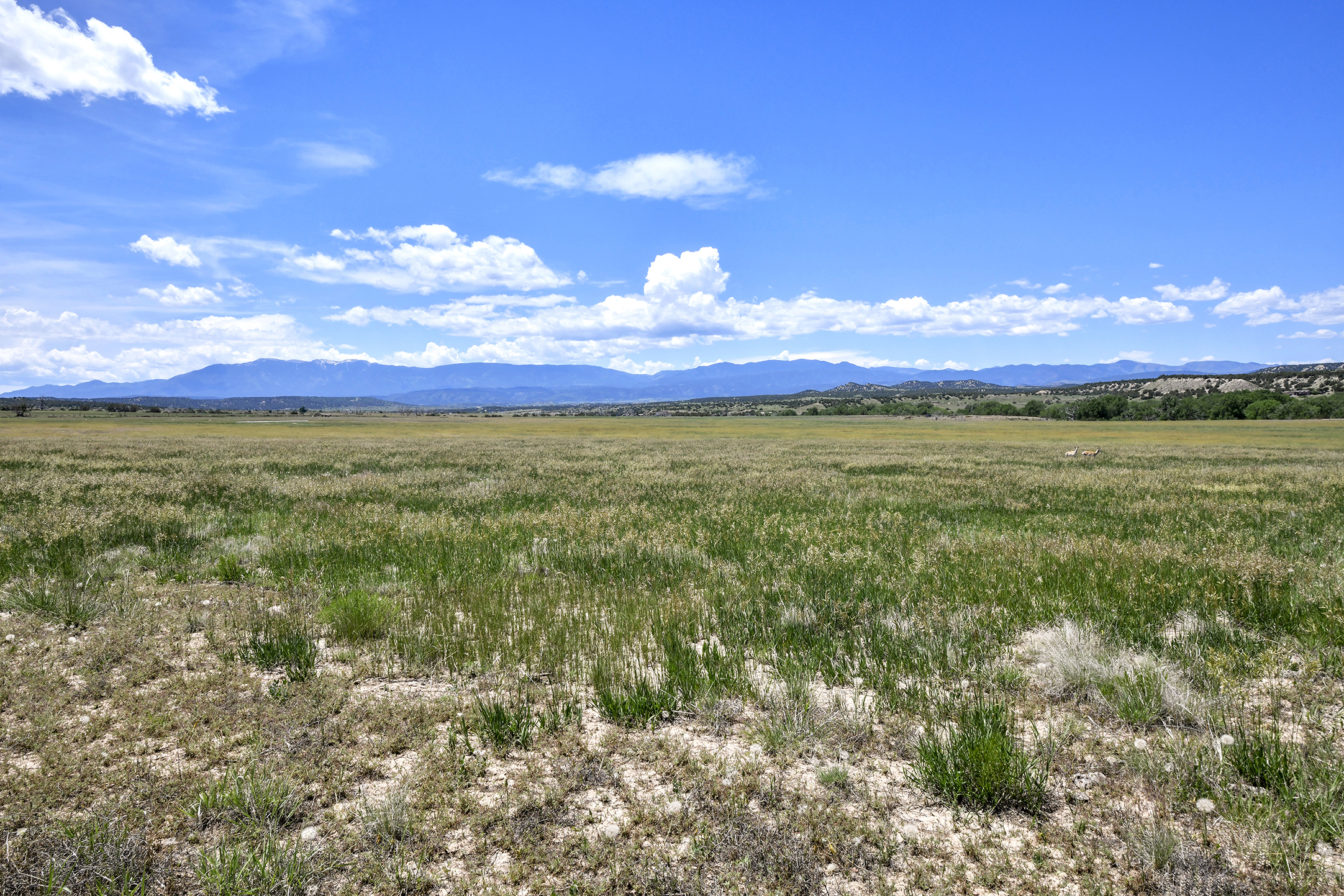 Burnt Mill Ranch – 643± Acres of Prime Colorado Ranchland
