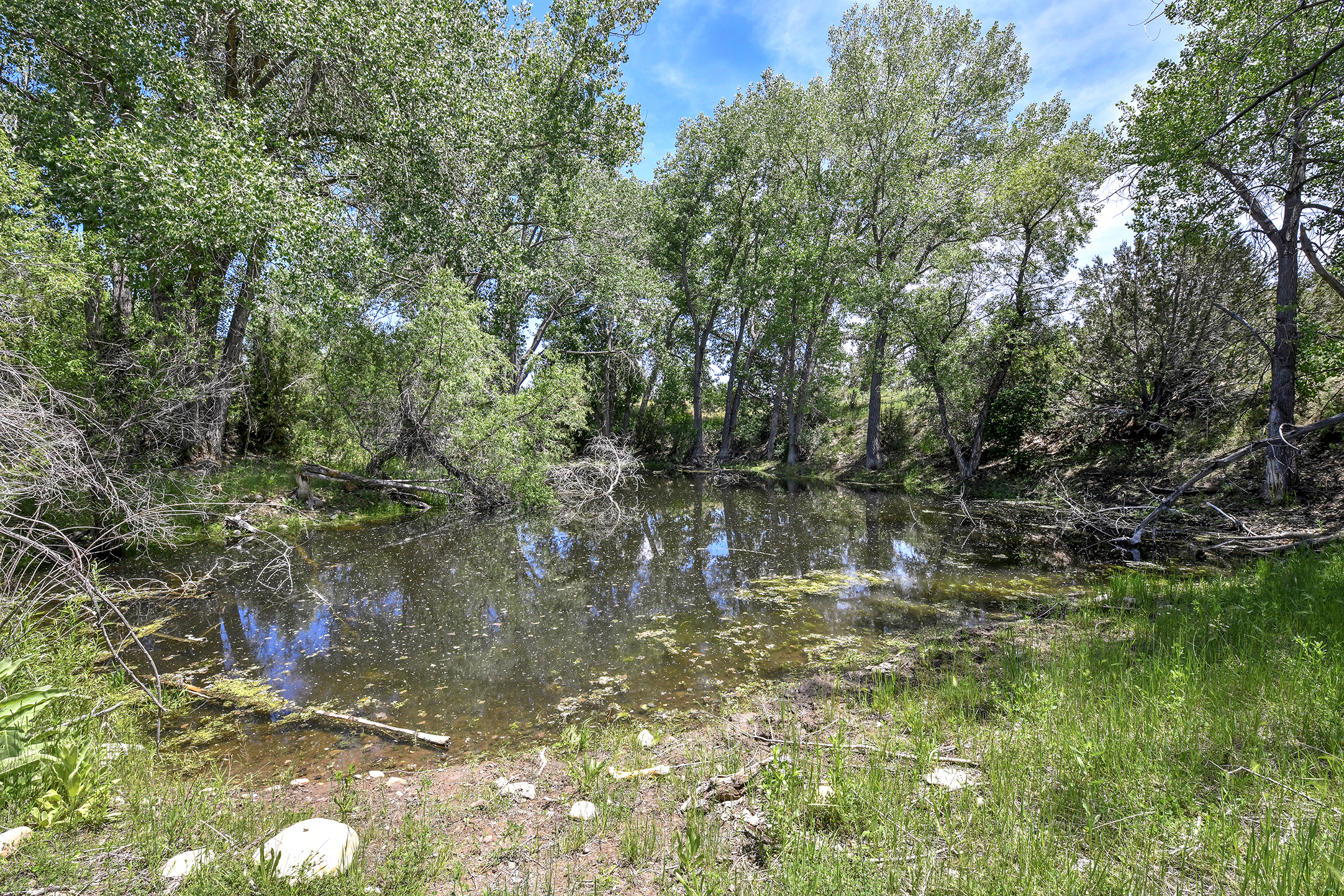 Burnt Mill Ranch – 643± Acres of Prime Colorado Ranchland