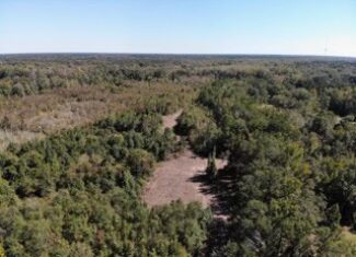 South Carolina Hunting Land for Sale
