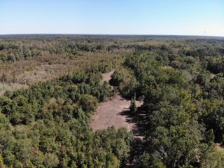 South Carolina Hunting Land for Sale