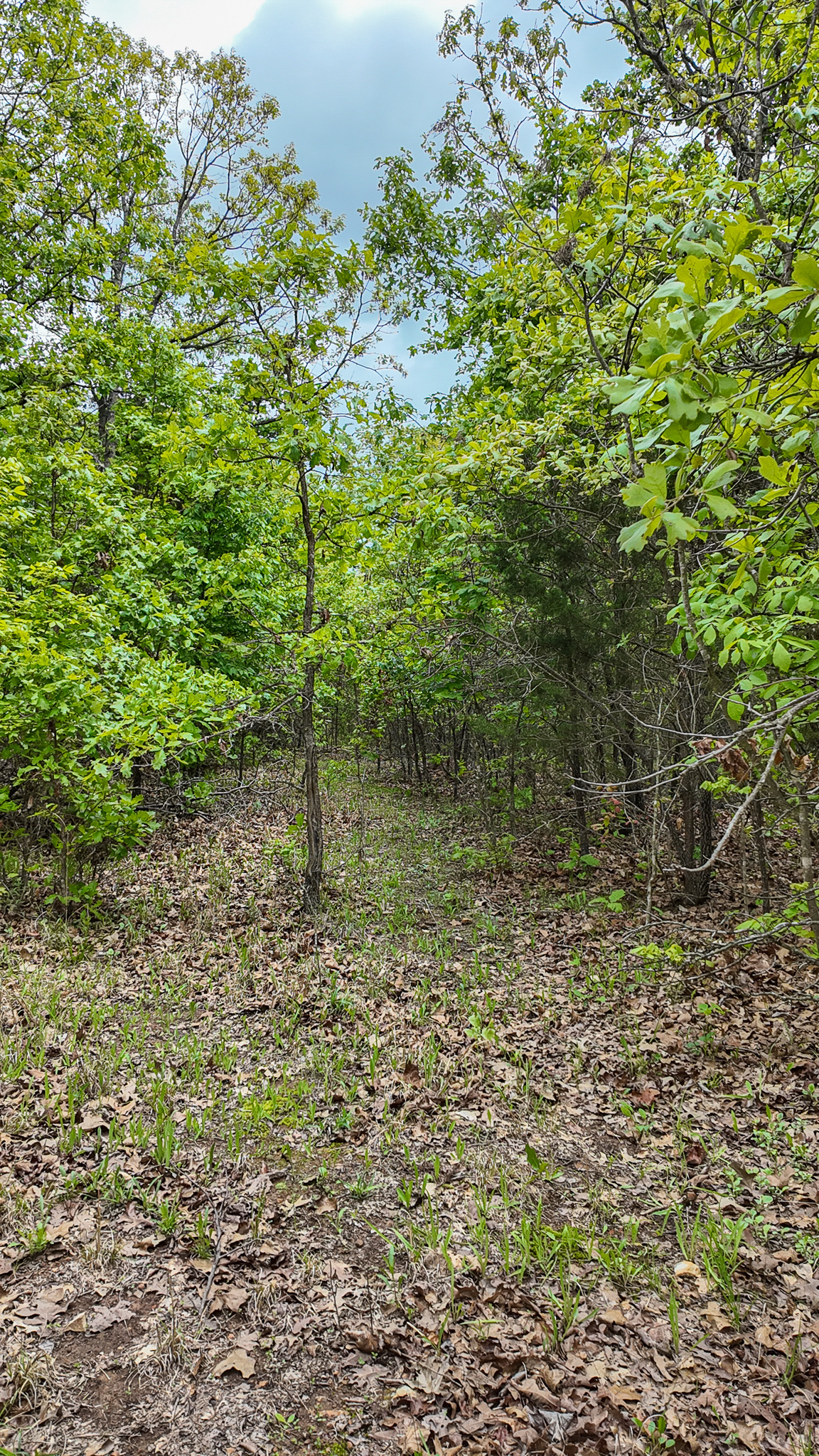 St. Clair County MO Recreational Land