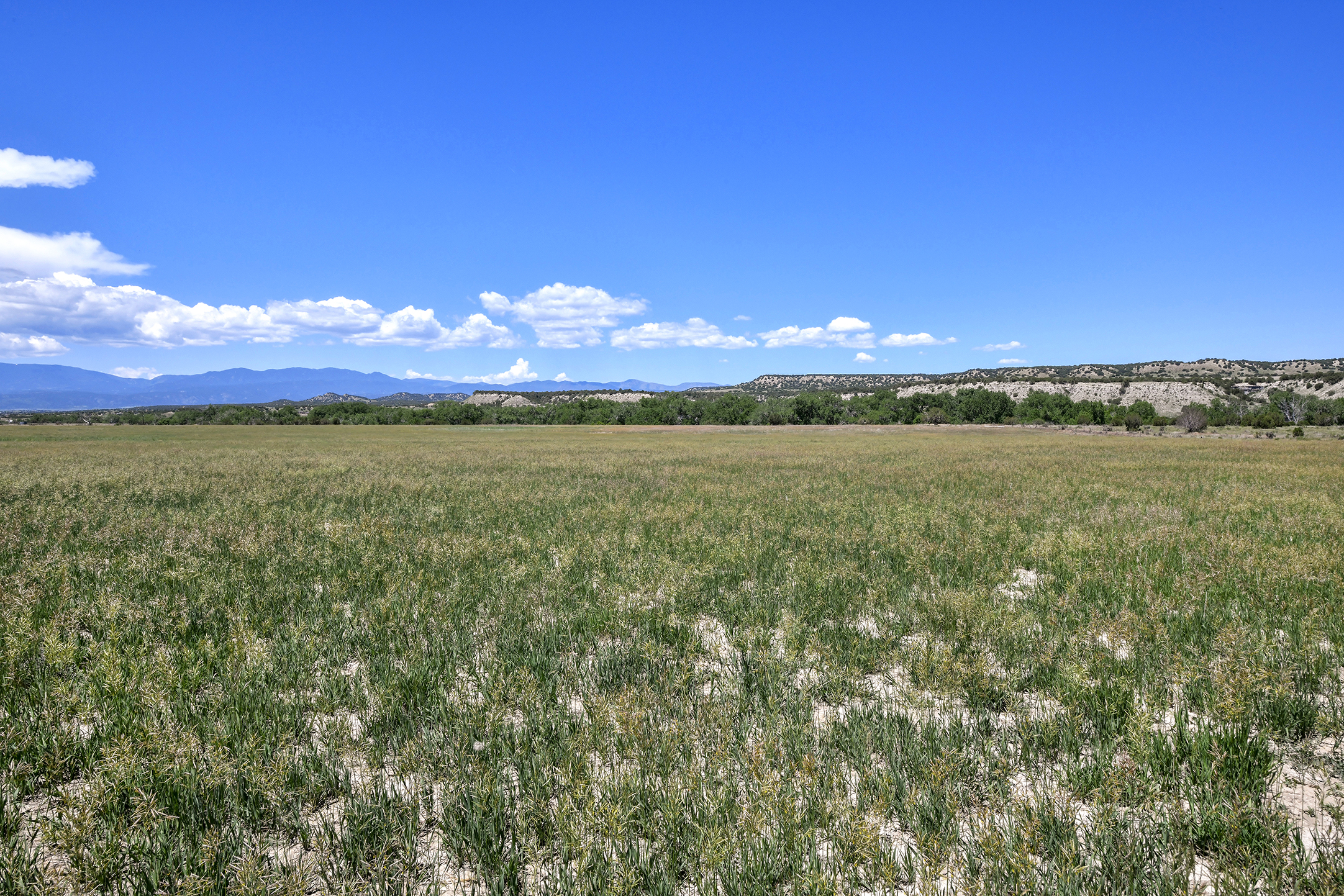 Burnt Mill Ranch – 643± Acres of Prime Colorado Ranchland