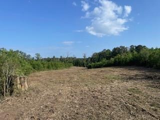 Small Hunting Tract FOR SALE in Amite County, MS