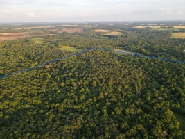 Land For Sale Barton County, MO 160± acres