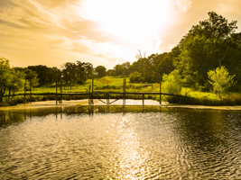 142+\- acres  For Sale El Dorado Springs MO