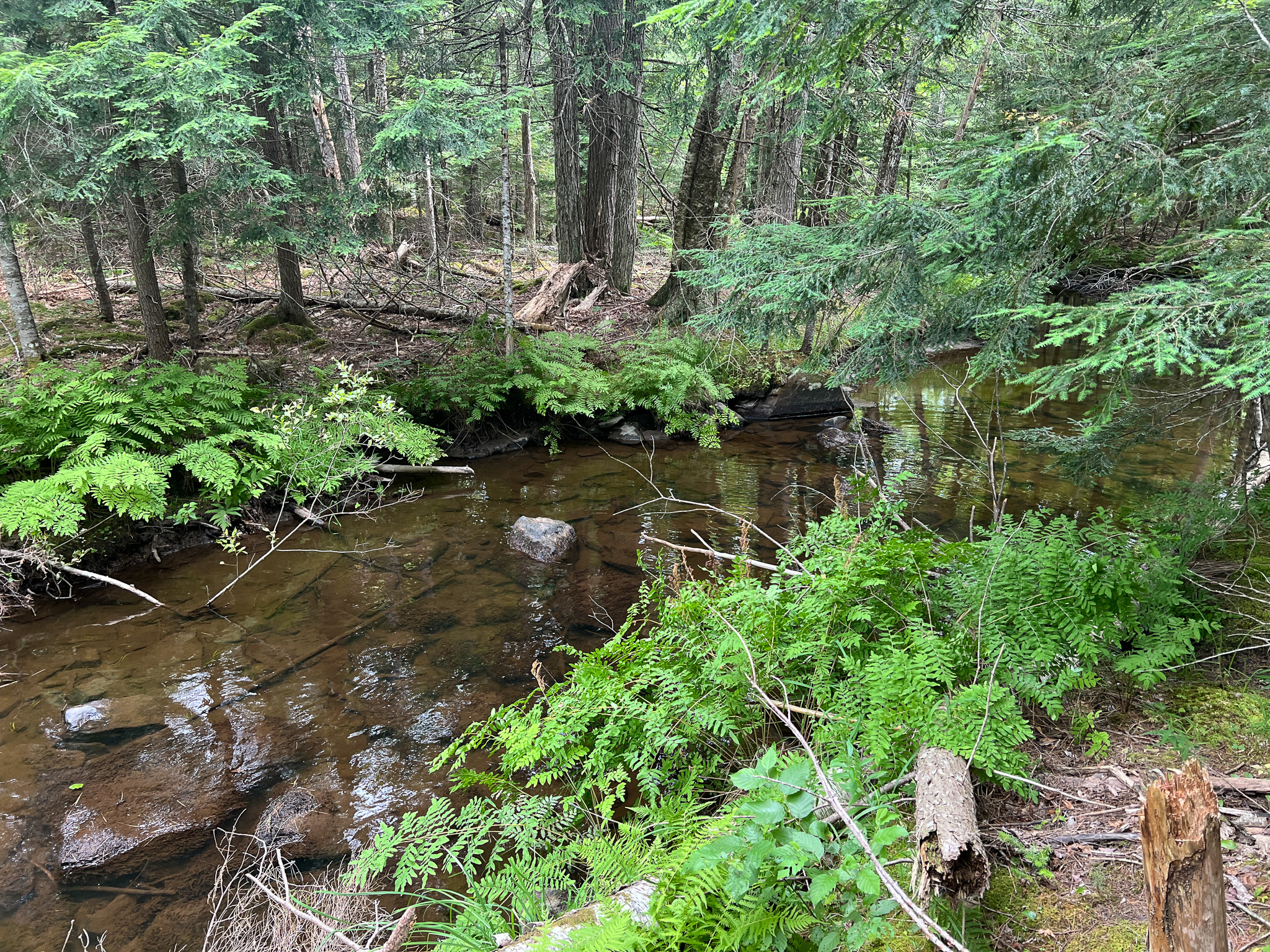 35± Acres with 1500 feet on the Brook