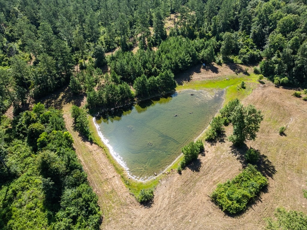Osyka MS Hunting Land with Pond – Pike 38