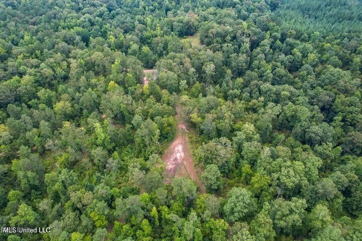 95 Acres of Prime Hunting Property in Hinds County