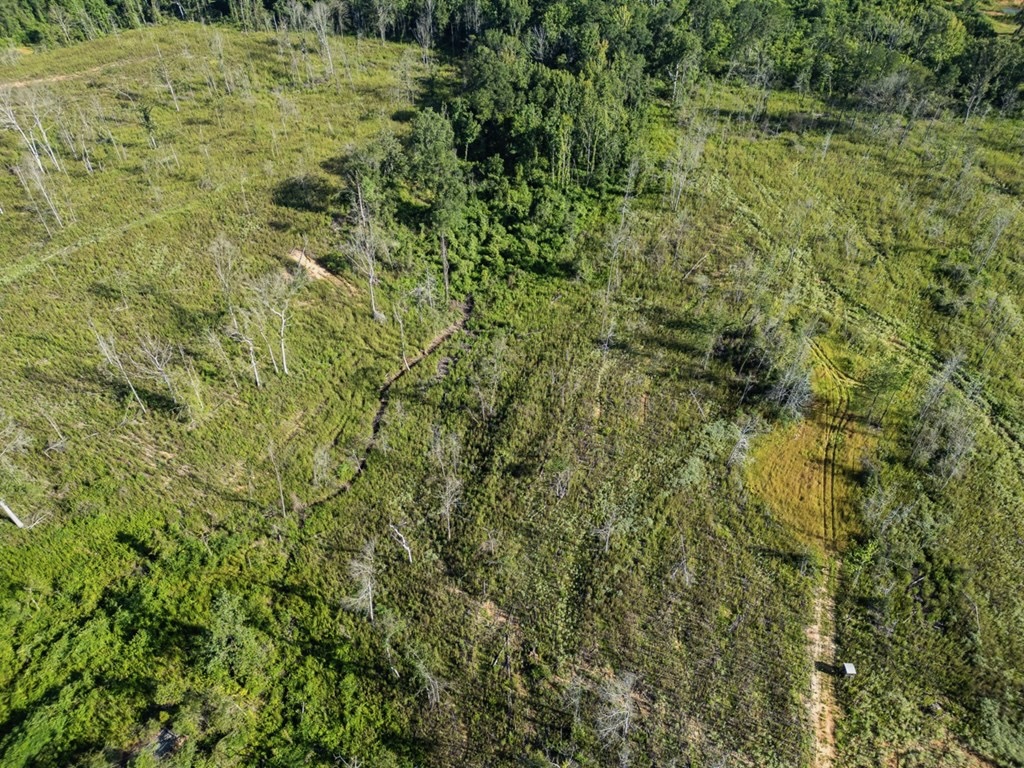 Gloster MS Hunting & Investment Land for Sale – 84 Acres