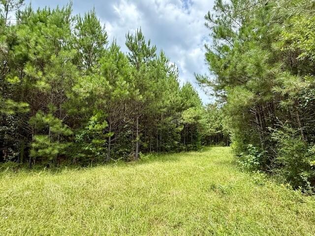 67 Acres For Sale Lawrence County MS