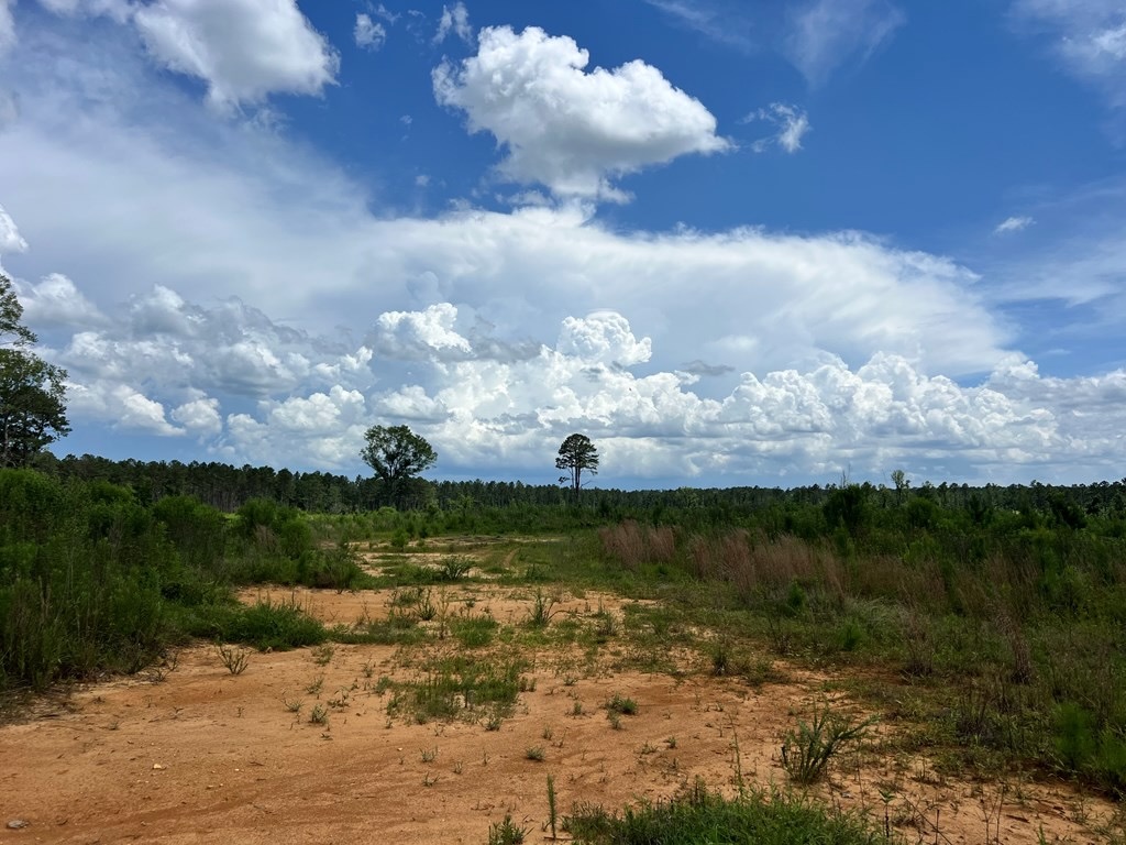 Land for Sale in Amite County, MS