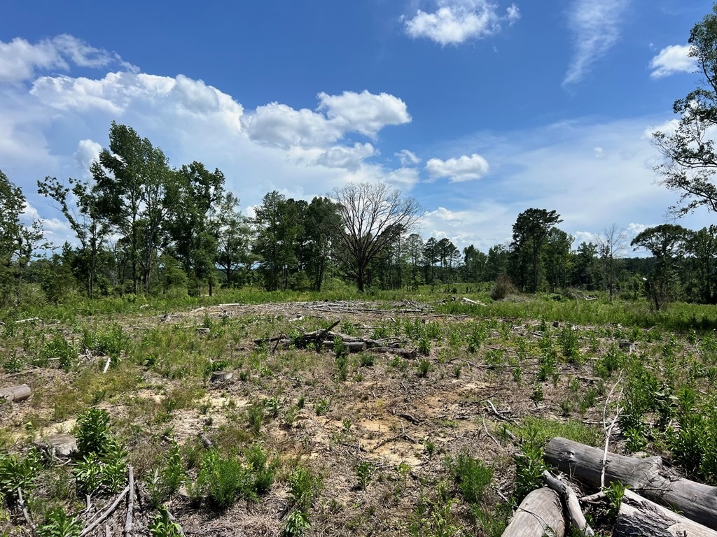 Land for Sale in Amite County, MS