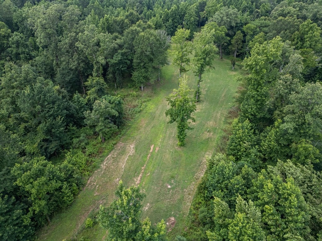 Hunting Land in Claiborne County, MS – The Reagan Tract