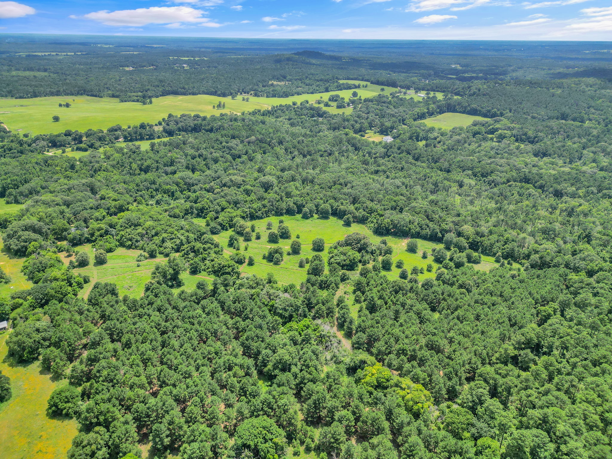 Texas Recreational Hunting Ranch for Sale East of Dallas