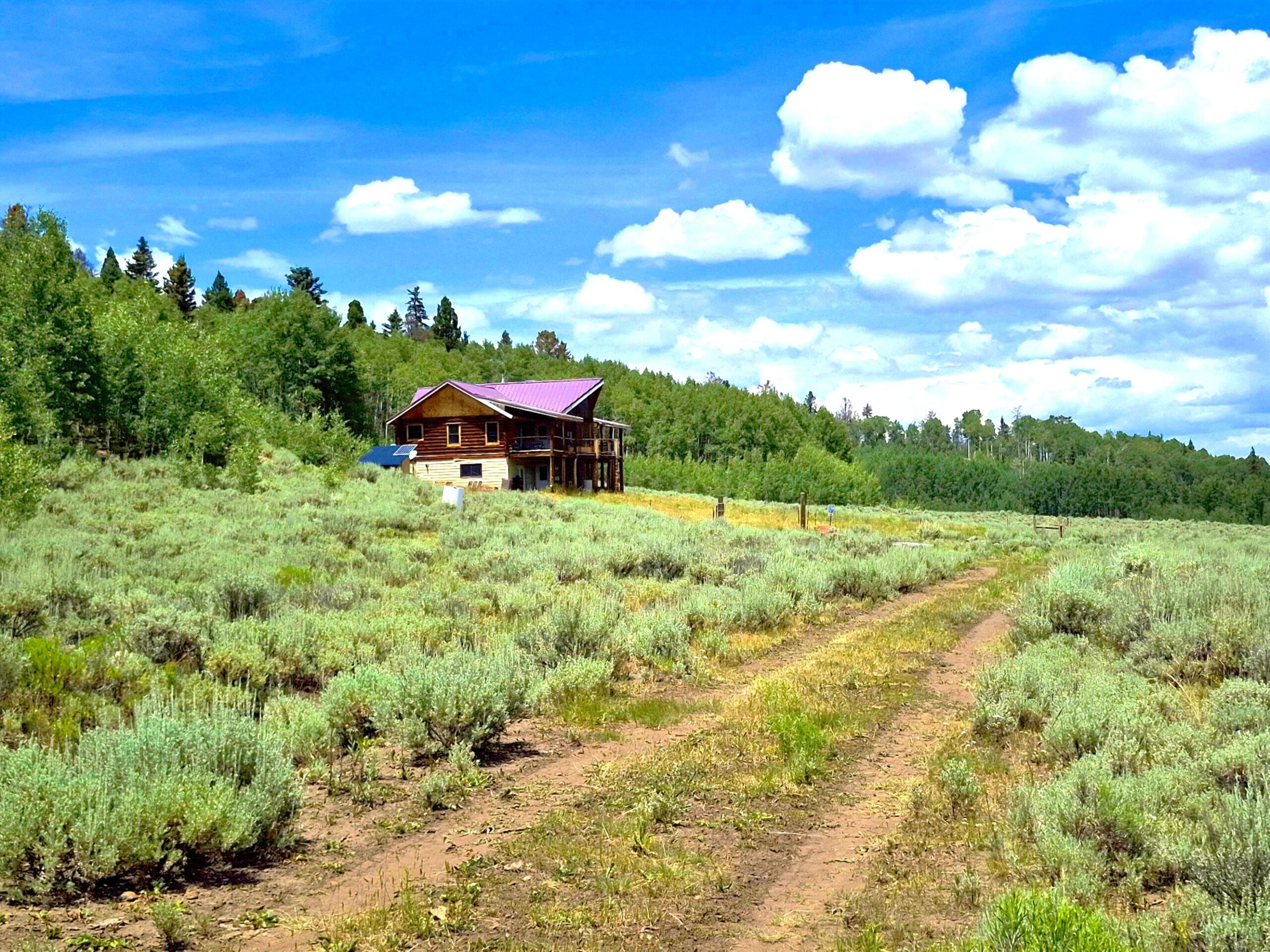 Cabin For Sale on 73 Acres in Colorado in GMU 66