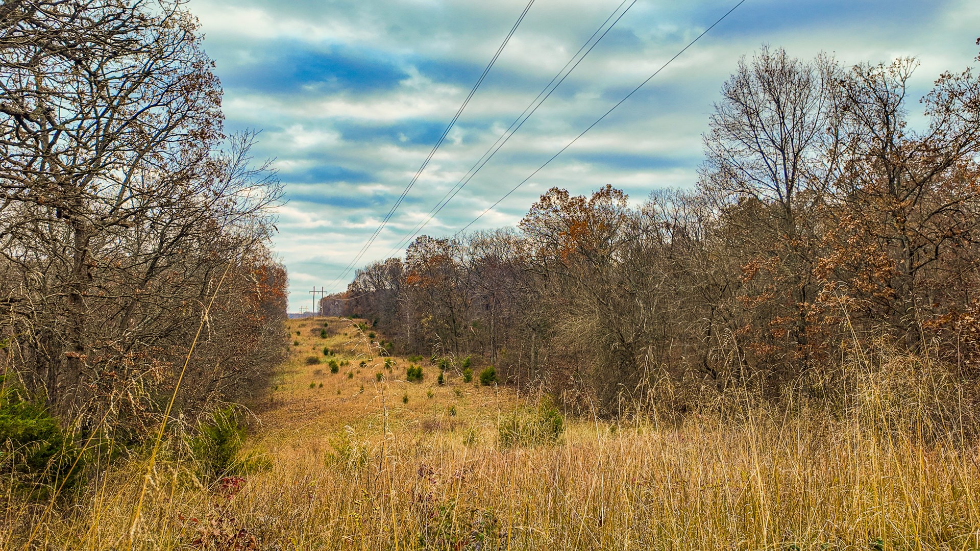 293 +/- acre hunting property for sale Lowry City MO