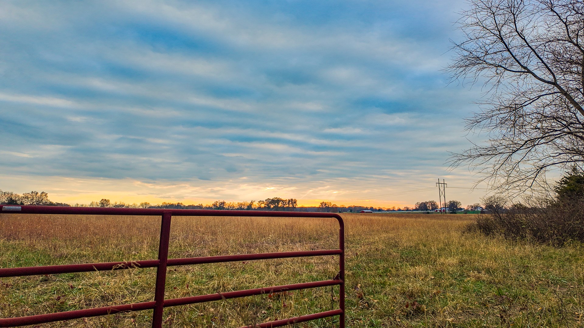 293 +/- acre hunting property for sale Lowry City MO