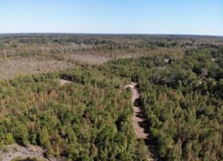 South Carolina Hunting Land for Sale