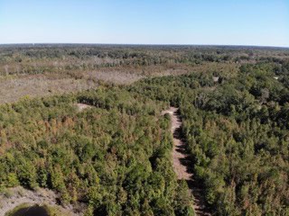 South Carolina Hunting Land for Sale