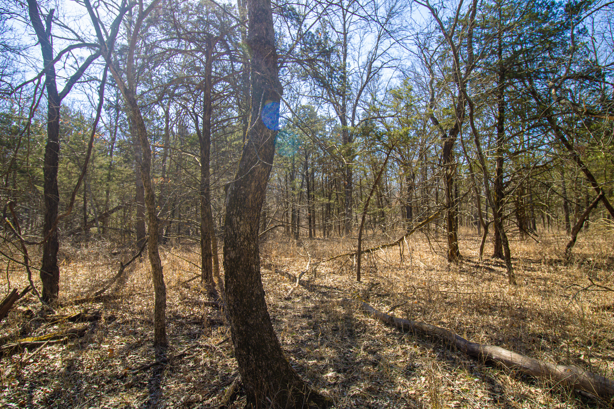 89+/- Acre Hunting property with a nice home and shop
